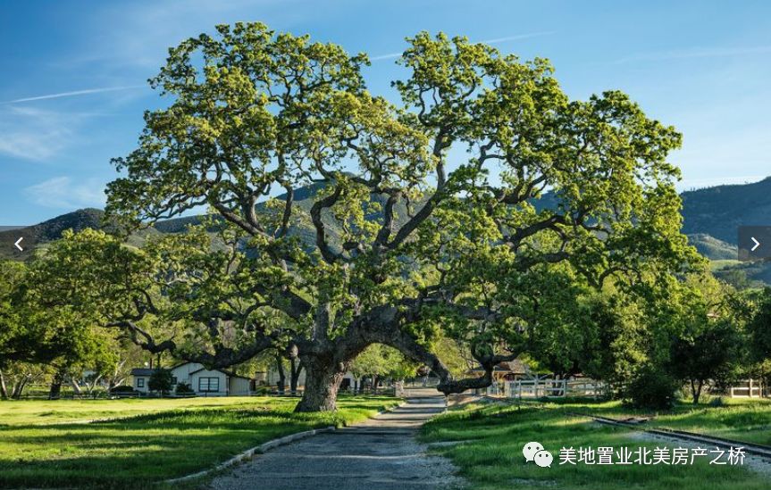 刚刚!迈克尔杰克逊加州梦幻庄园大降价出售,美照首次曝光你也能出个价!