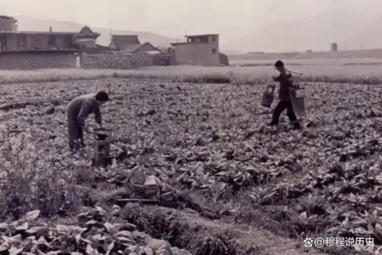 2002年,山东老汉因女儿拒绝为弟弟买房怒下杀手,直言:她该死