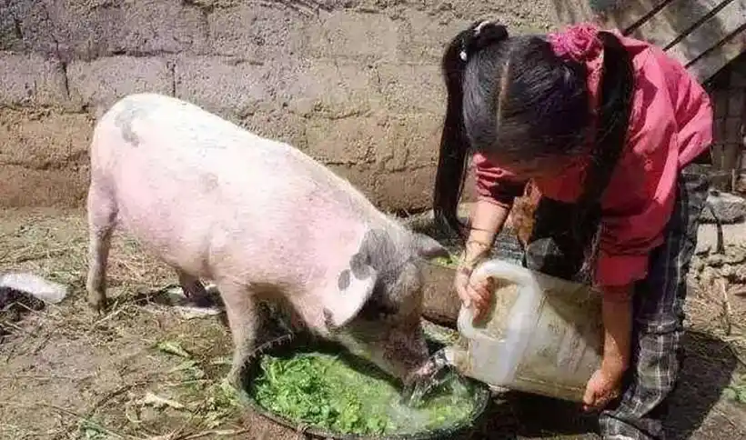 2002年,山东老汉因女儿拒绝为弟弟买房怒下杀手,直言:她该死