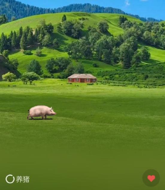 “微信农场”来了,年轻人会买账吗?