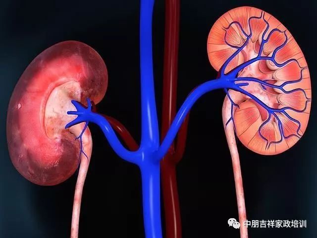 不喝水的情况下，一个人能活多久?