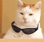 不会制作PPT?别虚,你缺的是这7个网站,高质量素材、模板免费用