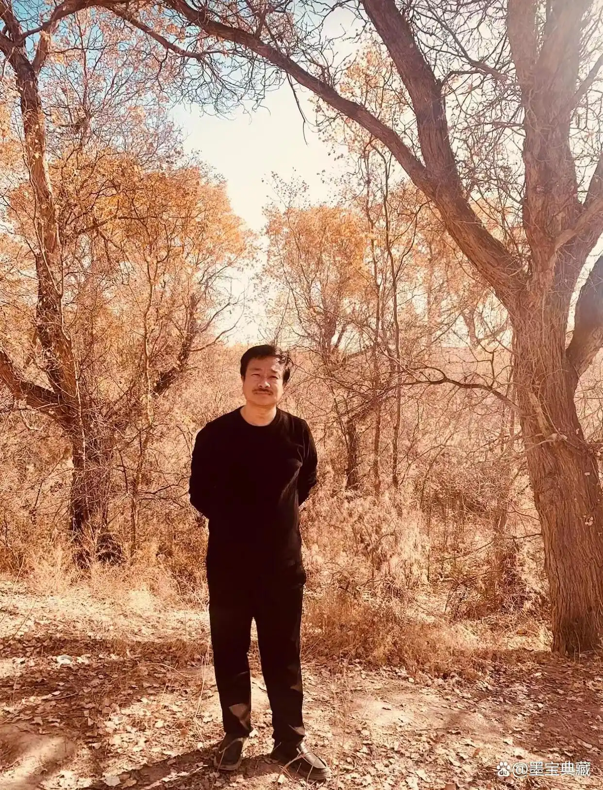 书法家朱鹏飞“北疆行”作品欣赏