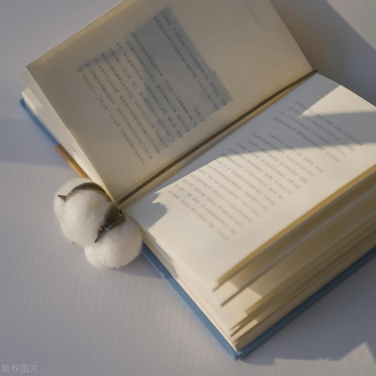 什么是核心期刊?国内七大核心期刊体系全解析