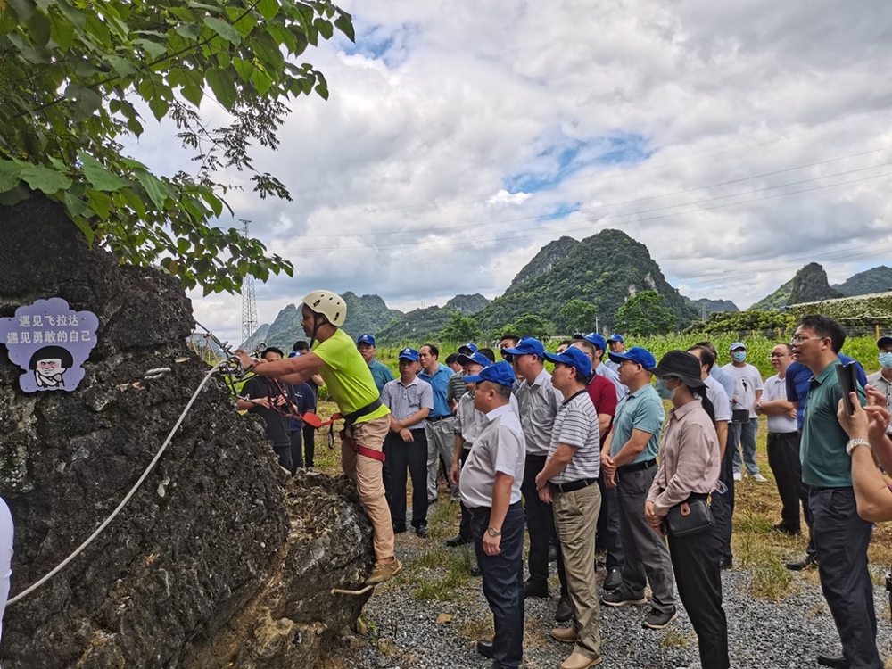 全区林业生态旅游产业发展现场会在邕召开