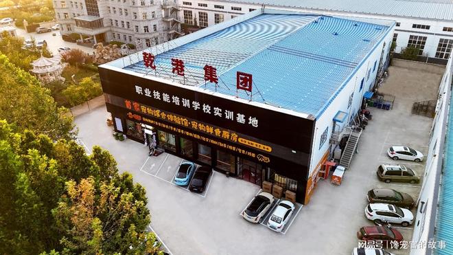 旺宠官：全链赋能，点亮宠物经济未来