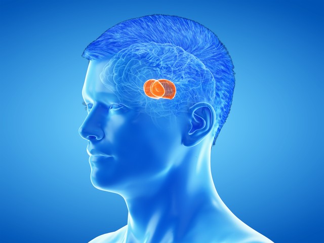 脑鸣频繁出现千万别忽视 ，警惕能量供应异常， 及时干预保健康