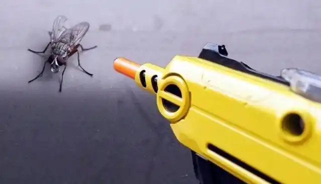 一枪打死一只苍蝇,美国研制、中国生产的“玩具枪”有多好玩?