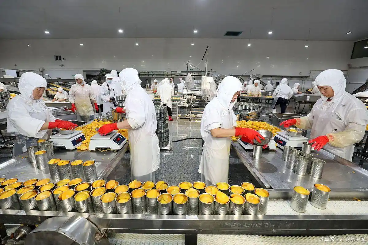 璞玉南阳：汉水之滨的转型“琢玉记”