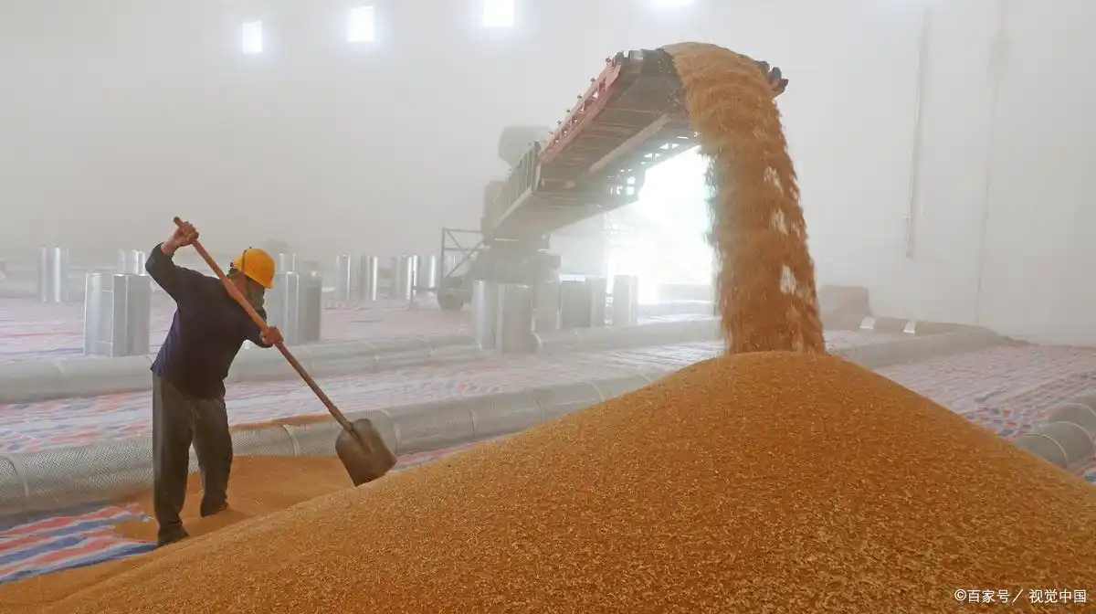 璞玉南阳：汉水之滨的转型“琢玉记”