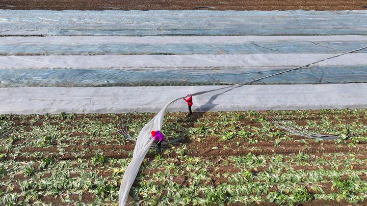 时政微观察丨常态化精准帮扶，这个新部署意义深远