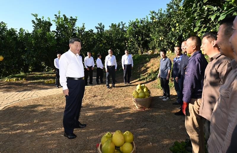时政微观察丨常态化精准帮扶，这个新部署意义深远