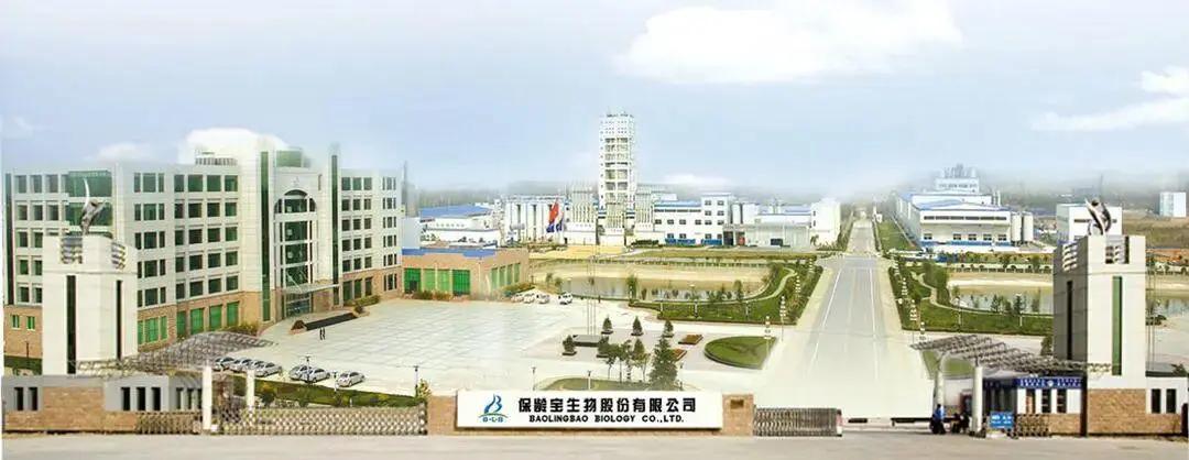 保龄宝人事大调整：63岁王强接棒“95后”董事长，“老将”刘峰兼任董秘