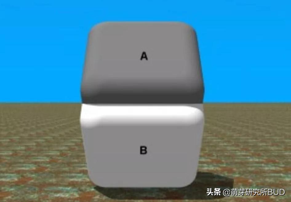 你没想过的“脑筋急转弯”,才是启发孩子智力的法宝