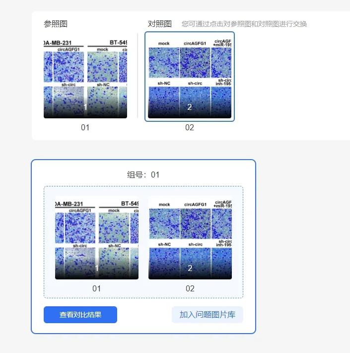 图片重复惹大祸！论文发表数月后被撤稿，学术诚信再敲警钟