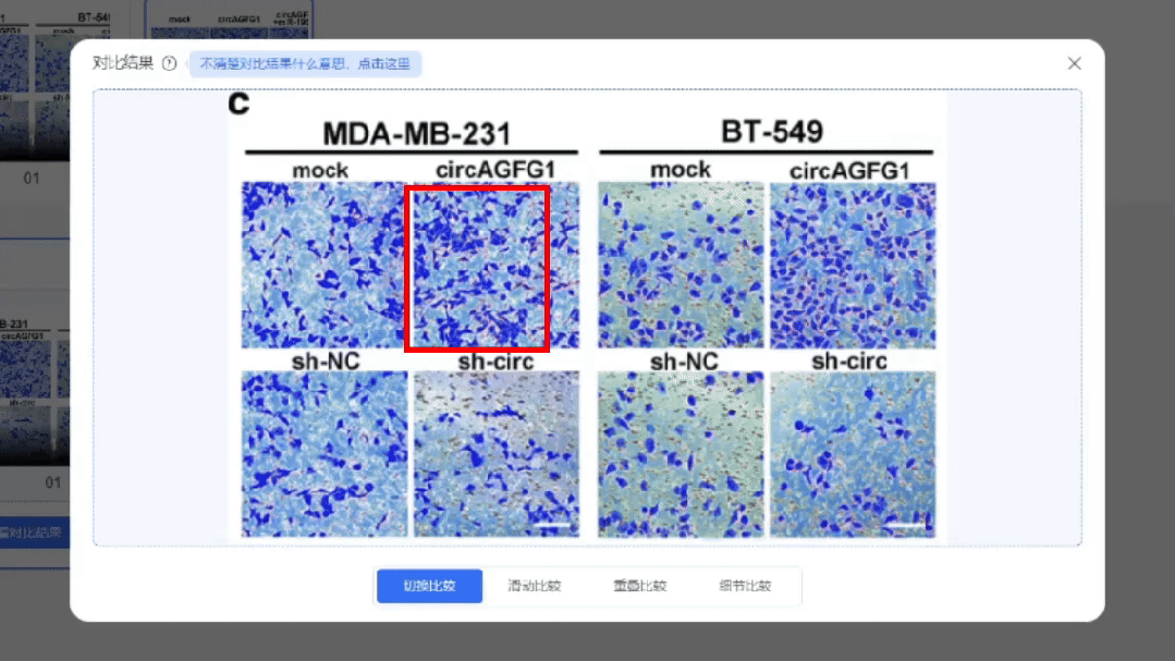 图片重复惹大祸！论文发表数月后被撤稿，学术诚信再敲警钟