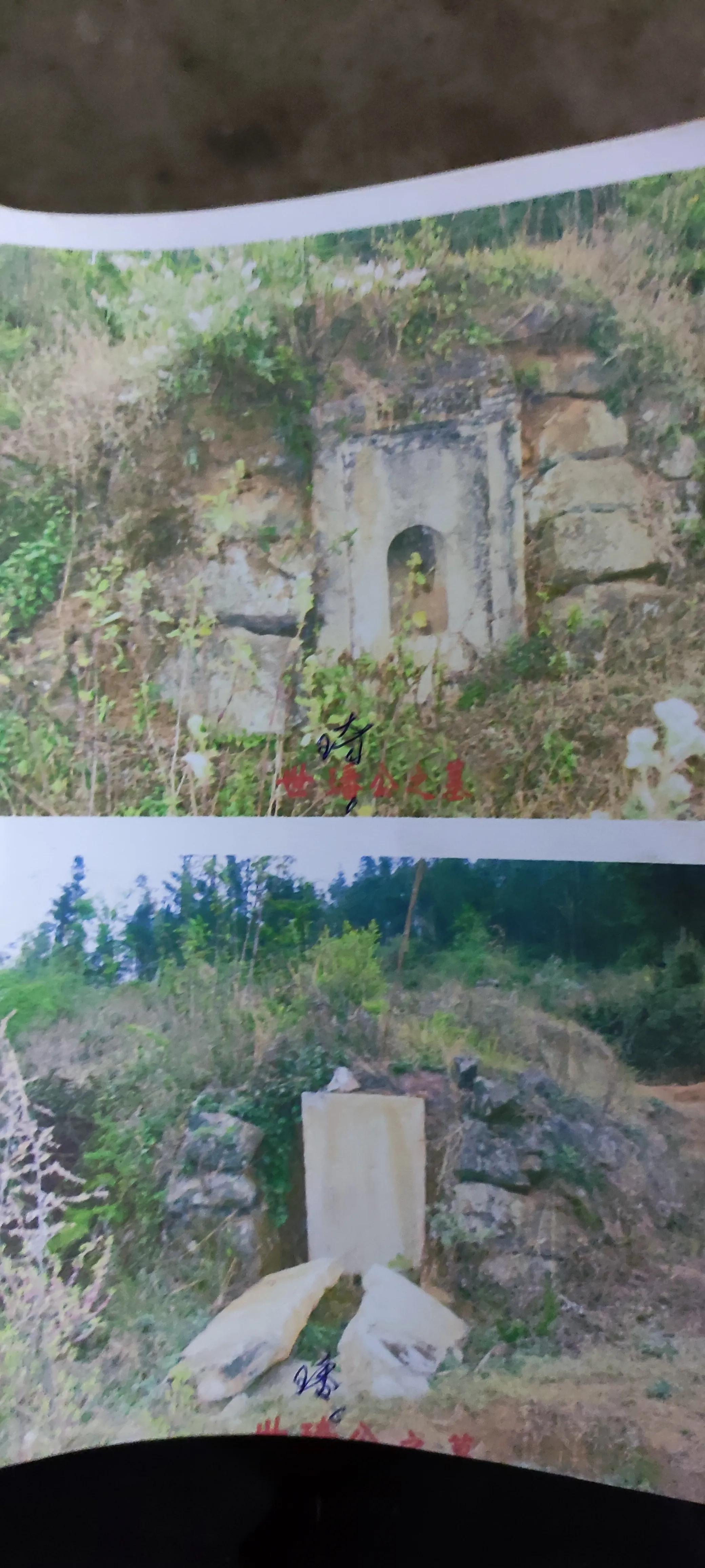 戴氏支系贵州省盘州市羊场乡下午村戴维乾