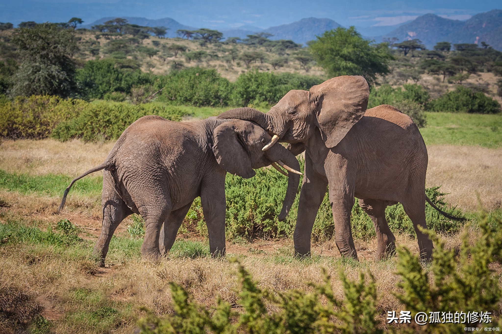 玩家将扮演蝙蝠侠，深入阿卡姆疯人院，与众多蝙蝠侠的敌人战斗