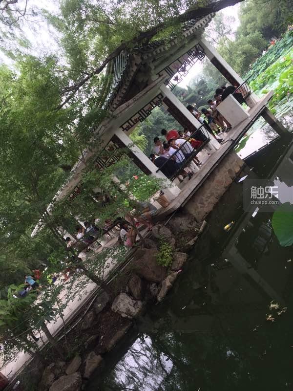 2023年,触乐最值得阅读的10篇文章