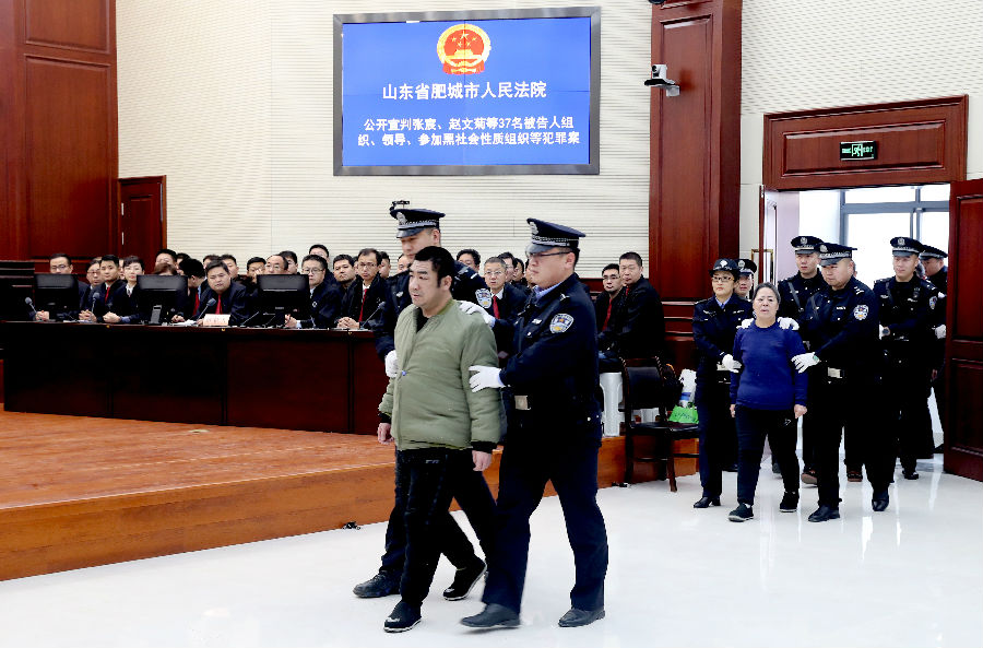 社区“家天下”？张宸、赵文菊母子涉黑一审宣判