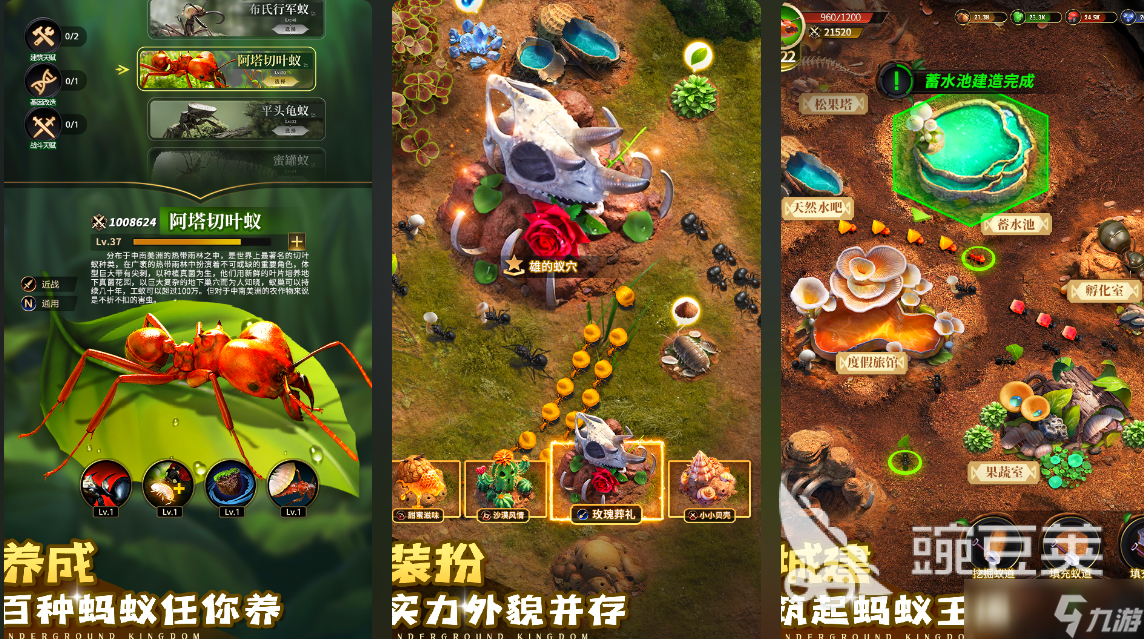 热门的蚂蚁生存游戏有哪些 2025模拟蚂蚁手机游戏分享