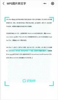 图片中取文字，还靠手敲 你out了，我们都用WPS一键取字