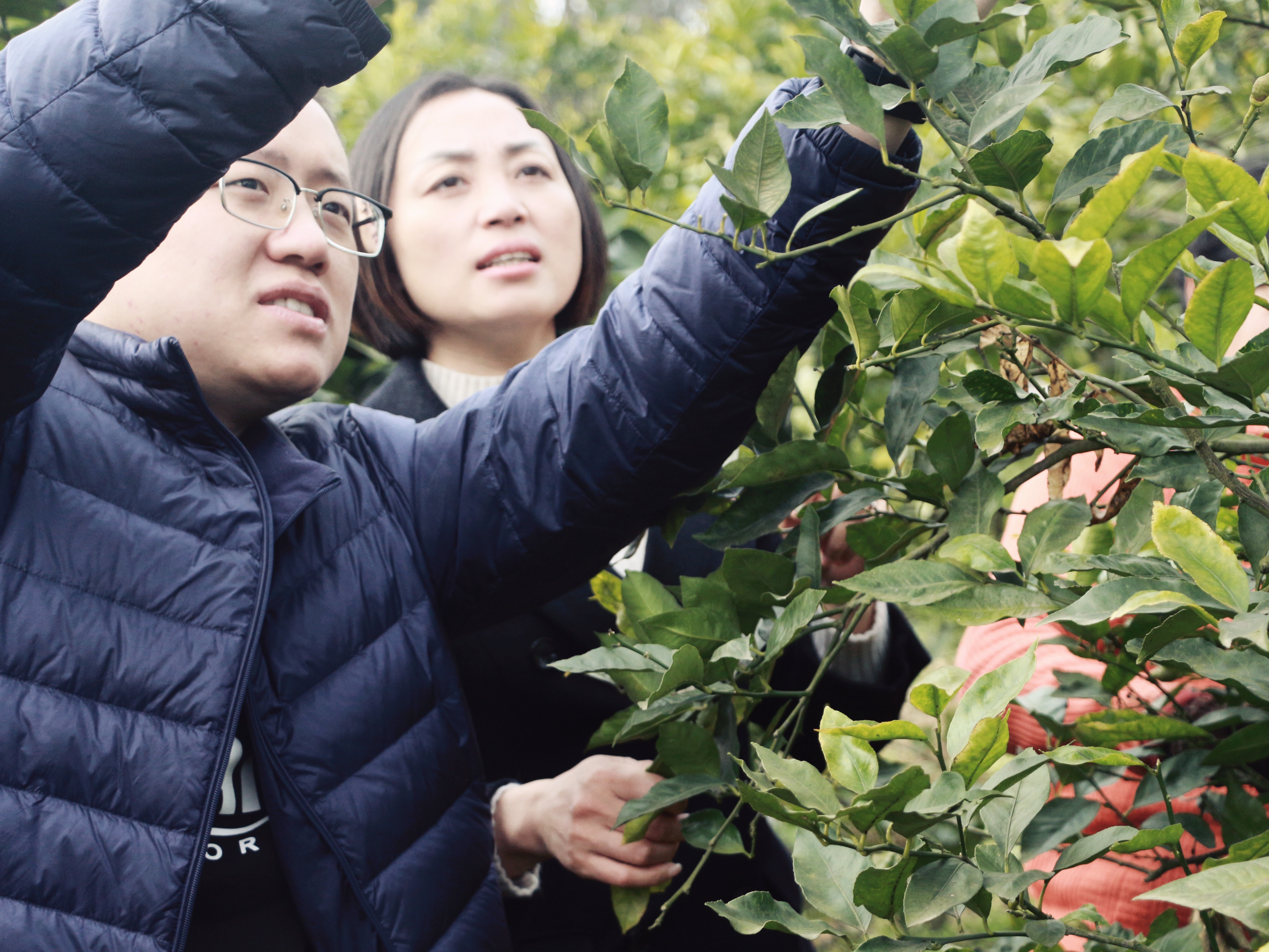 【你好代表】刘艳英：20年来最大的收获就是被乡亲们需要