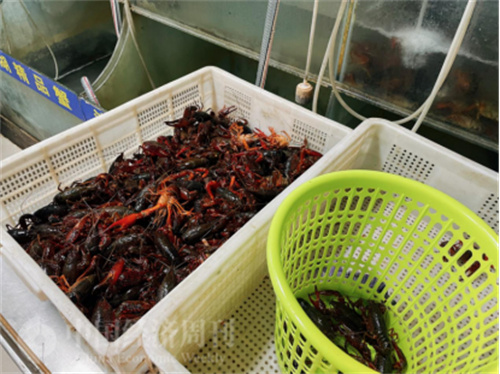 “下一个淄博”可能是这里？因《长月烬明》爆火，蚌埠这次能绷住吗？