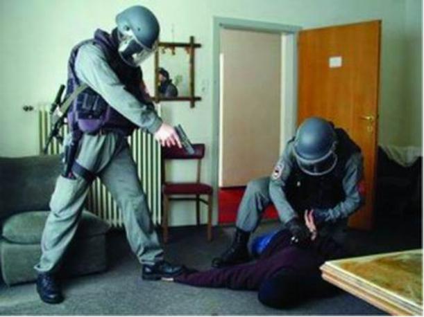 你知道维也纳的音乐，但你不知道的是维也纳的“眼镜蛇”部队！