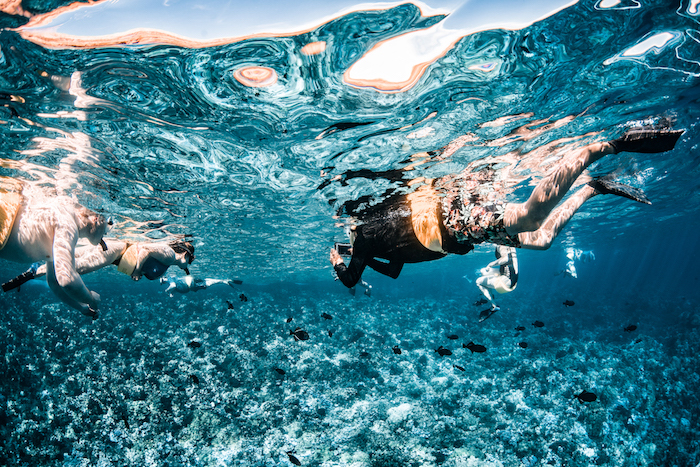 逃跑计划 | 寻找夏威夷，那儿有对海岛的美好幻想