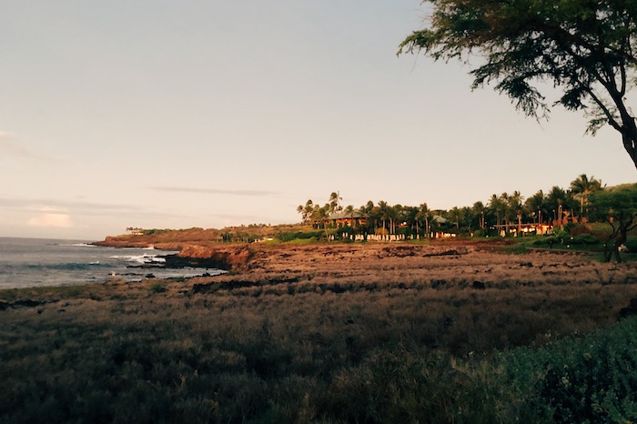 逃跑计划 | 寻找夏威夷，那儿有对海岛的美好幻想