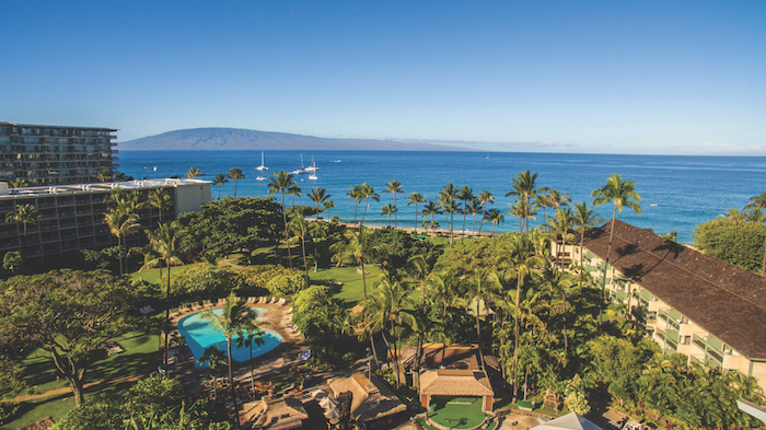 逃跑计划 | 寻找夏威夷，那儿有对海岛的美好幻想