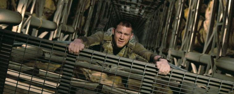 习惯了动作戏的阿德沃尔,这次要跟“眼镜蛇”较量一下了