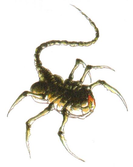 《魂斗罗》终于搞懂外星生物的进化链，所有怪物都是同一源头