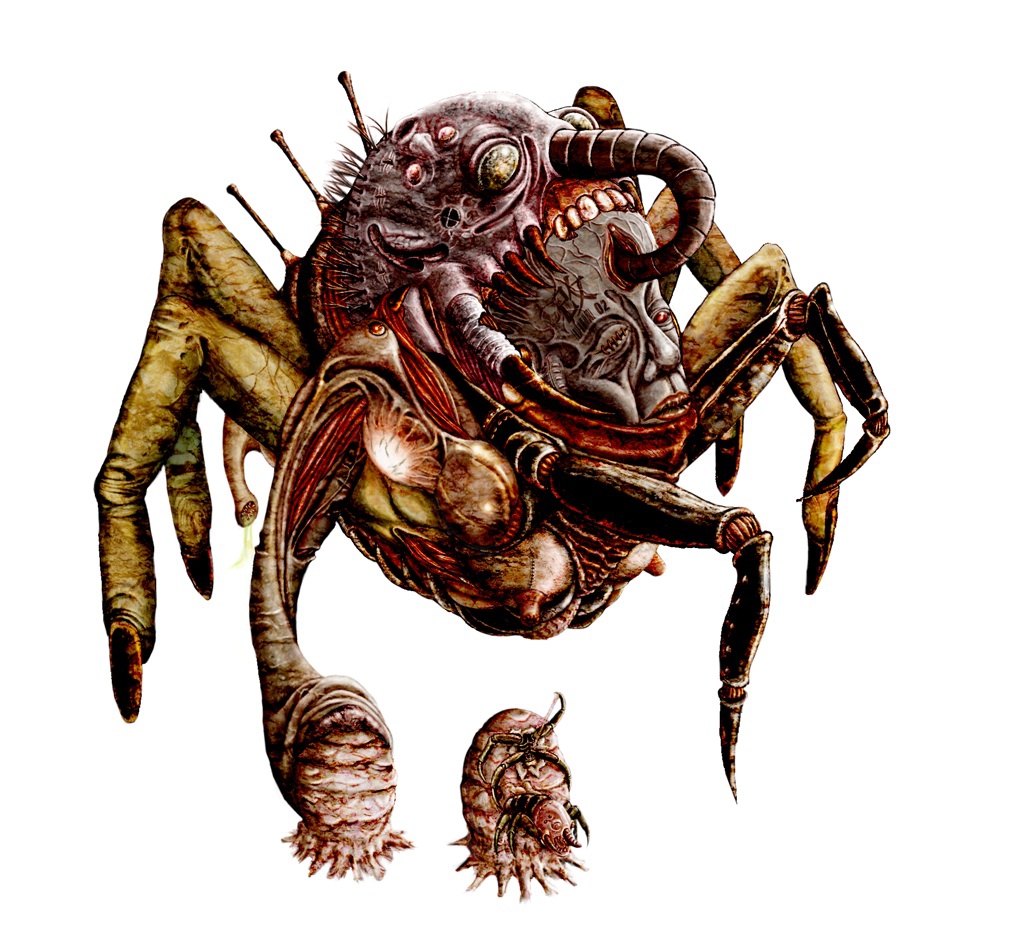 《魂斗罗》终于搞懂外星生物的进化链，所有怪物都是同一源头