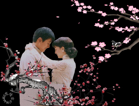 【今日七夕】七月七日七夕情,祝福送给天下人,年年岁岁手相牵,朝朝暮暮共白头!