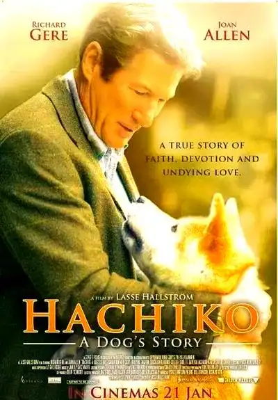 十部治愈系电影推荐,带您感受夏季的宁静美好