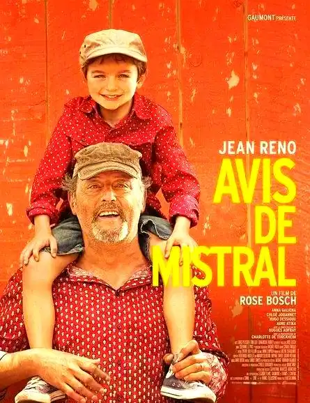 十部治愈系电影推荐,带您感受夏季的宁静美好