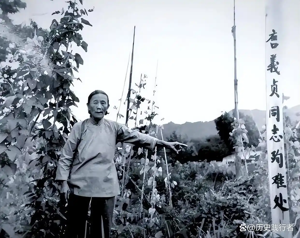 政治生涯的戏剧性转折:副总理被开除党籍,晚年为何能恢复名誉?