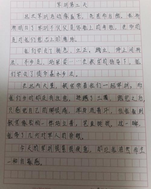 一个士兵的日记:从普通小兵到战争亲历者,记录真实战场