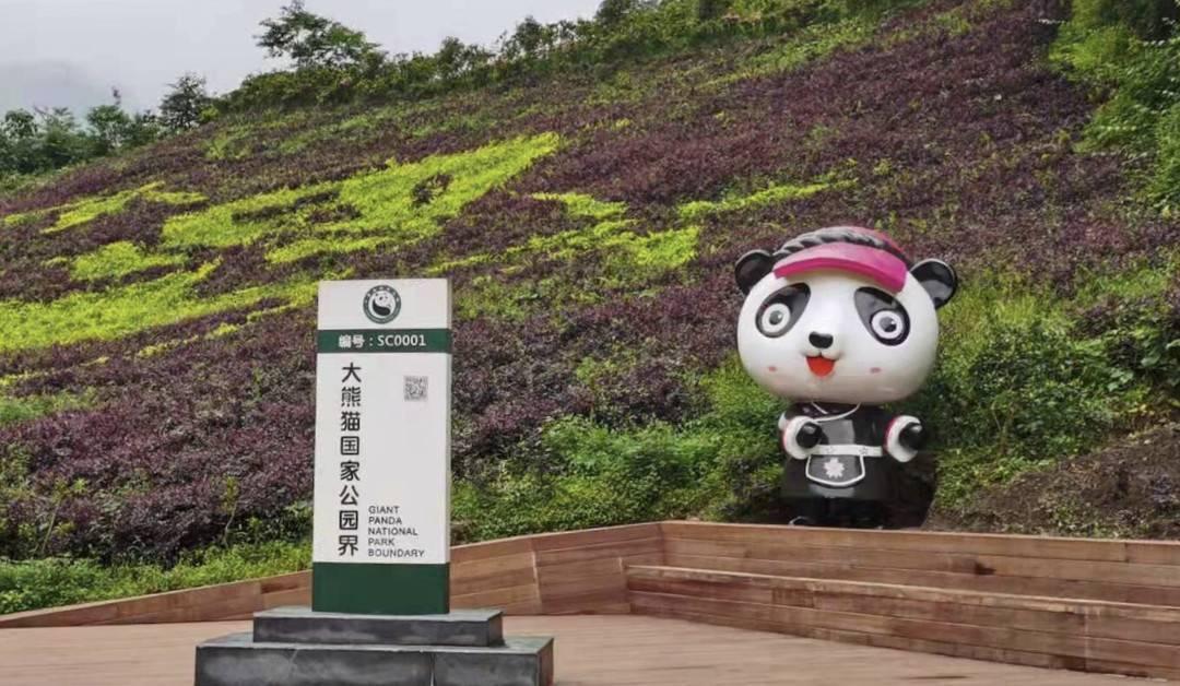 瓦屋秘境处 探寻大熊猫国家公园生态安全新路径