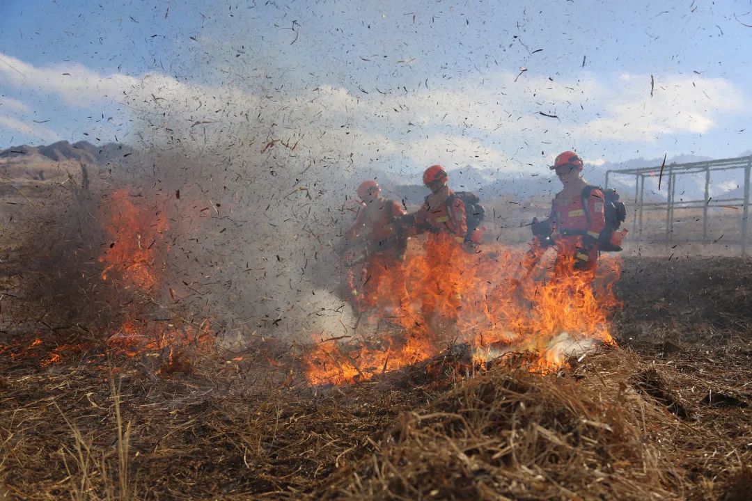 肃南县森林消防大队:狠抓实战训练,拓展应急救援技能新领域
