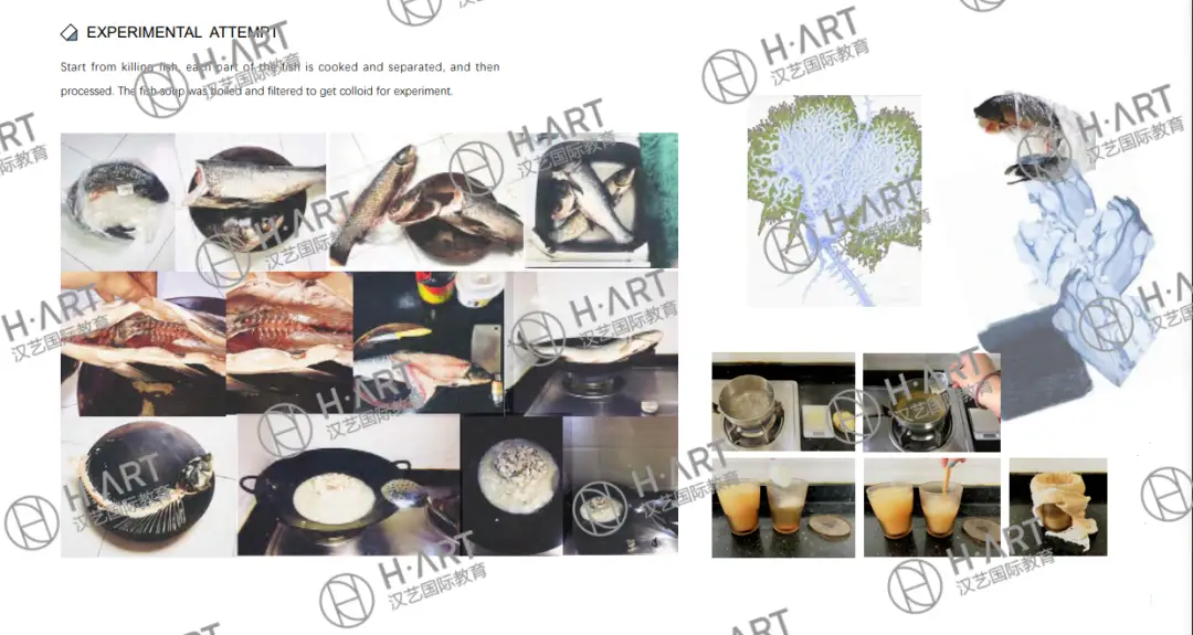 第一次申请被拒？别怕，还有机会