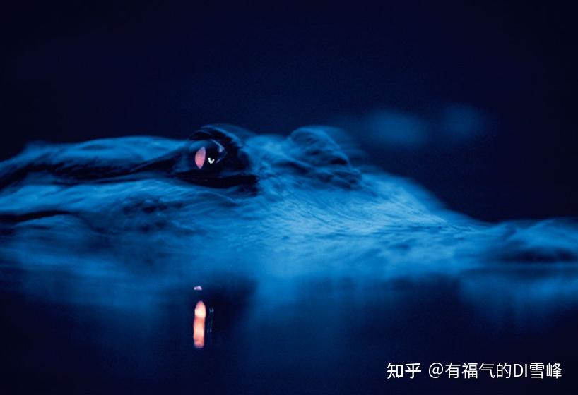 最近在学摄影，有什么比较不错的入门书籍推荐？