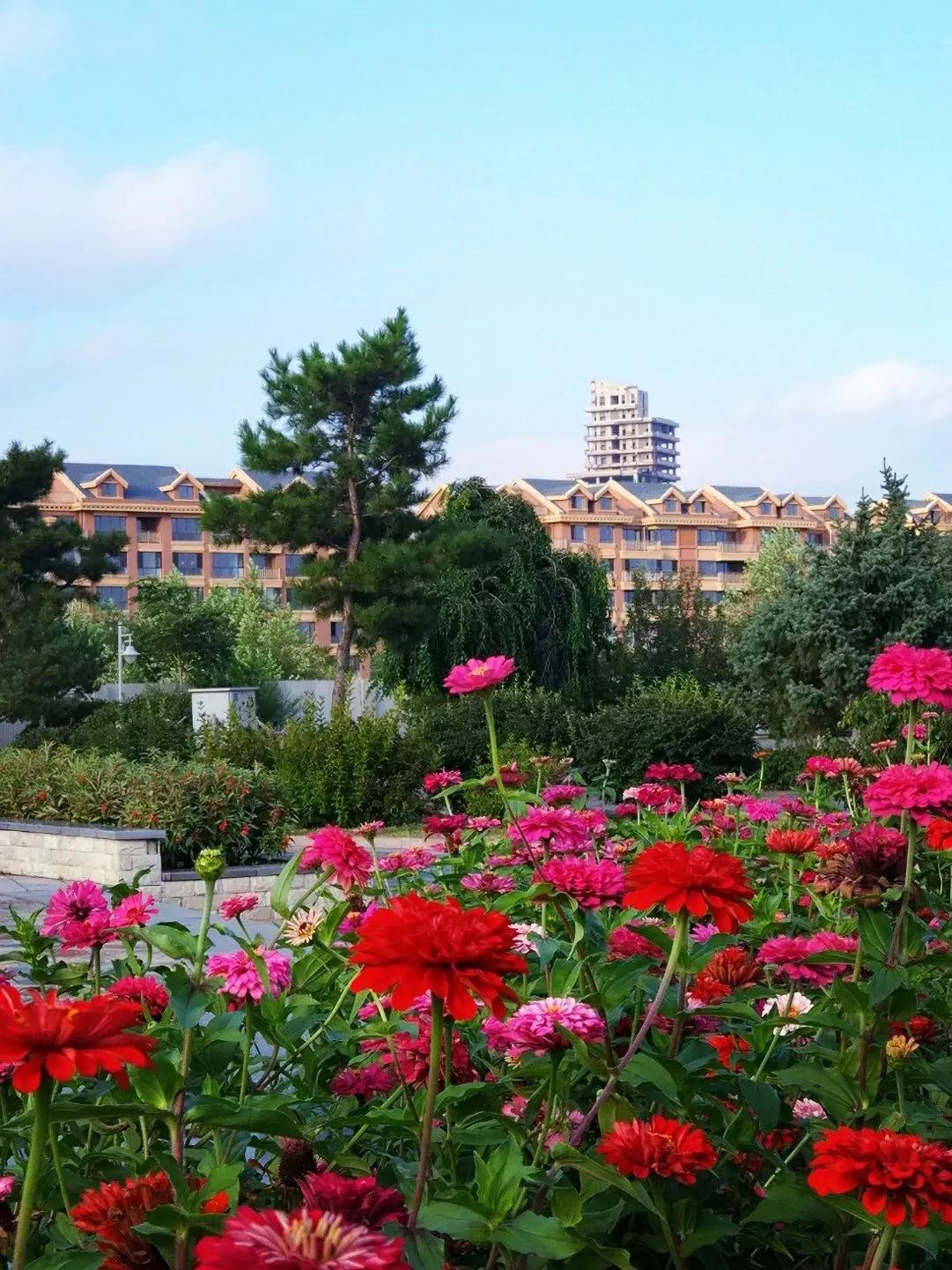 [辽宁 阜新市阜新蒙古族自治县]