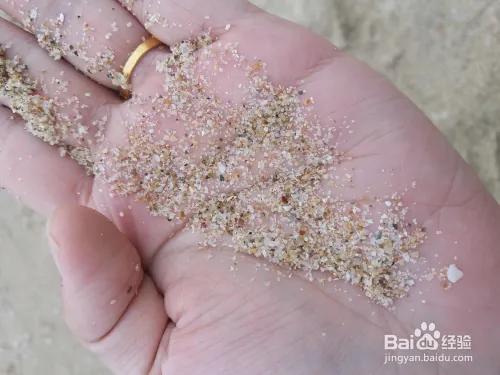 深圳大鹏南澳西涌民宿客栈推荐及旅游攻略