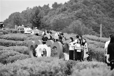 【中国纪检监察报】压实政治责任 保障脱贫攻坚全面胜利——扶贫领域腐败和作风问题以案促改工作启示