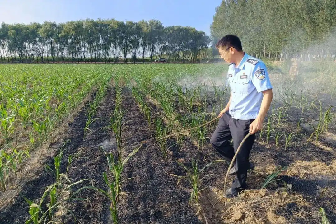 用心筑安,让群众满意!山东东营这个派出所让平安“警”色入画来
