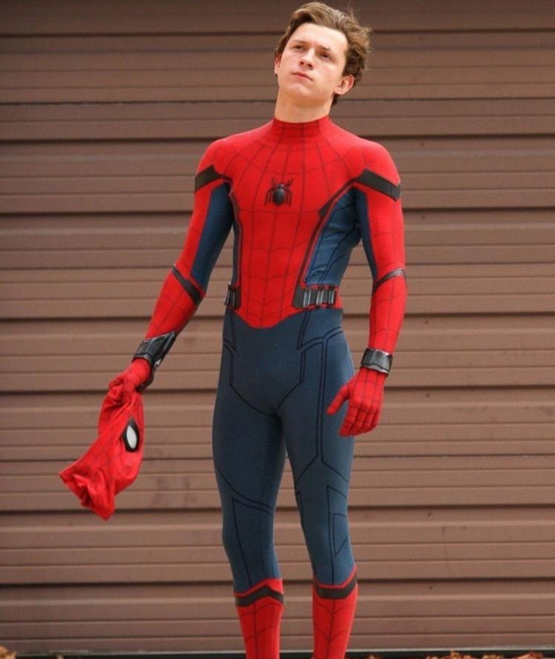 漫威蜘蛛侠3曝中文片名，英雄无归让人太紧张，网友：最后一部？