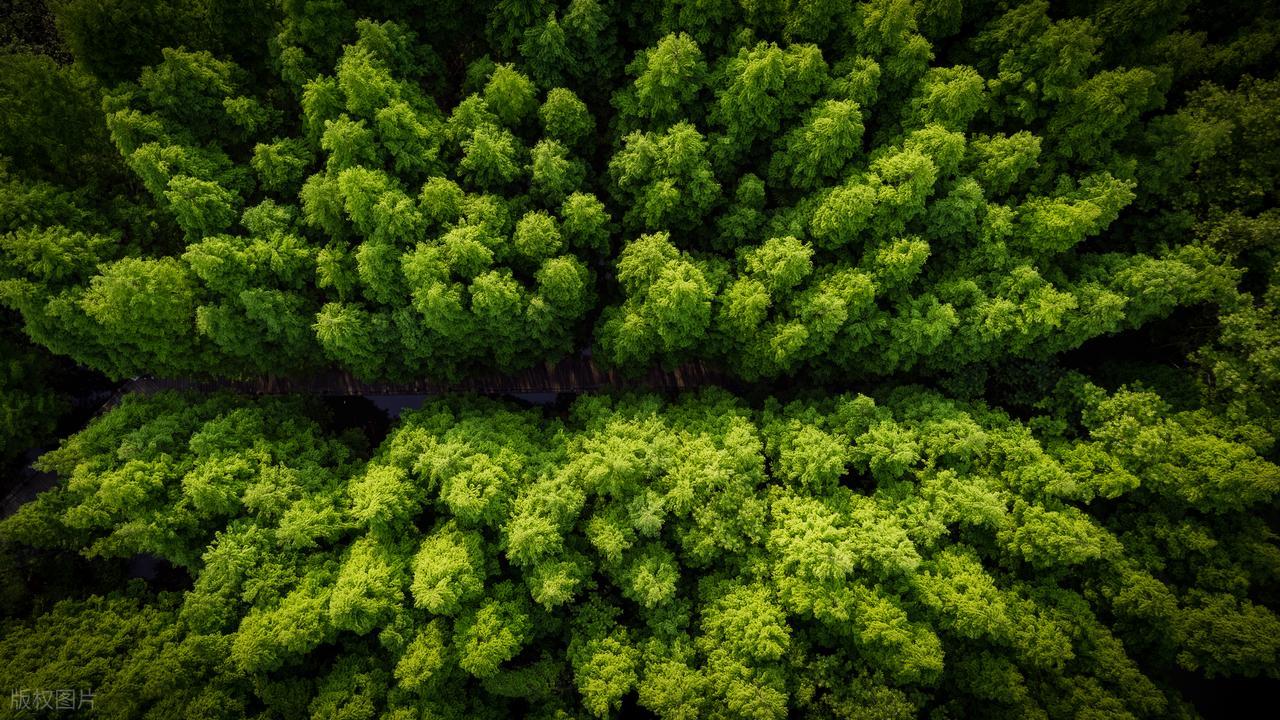 当我们在说网关时，到底在说什么